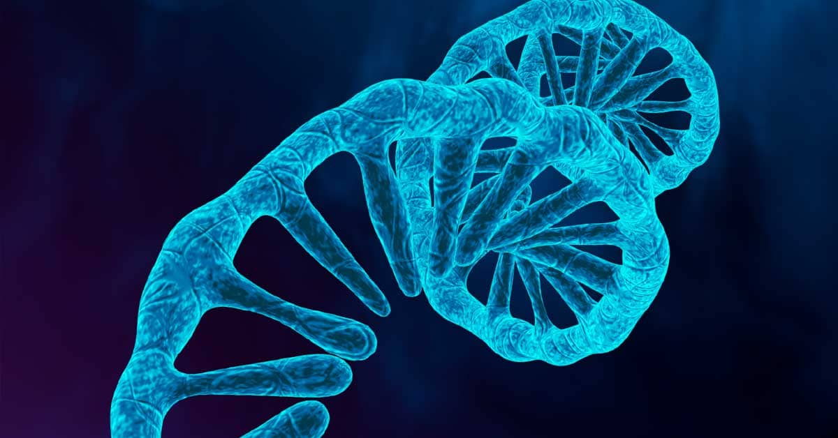 microRNAs: Estrutura, Função e Importância na Saúde